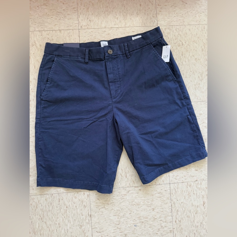 GAP Blue Flat Front Casual Shorts